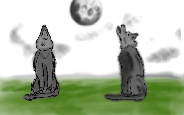 Creation of Wolfs: Step 4